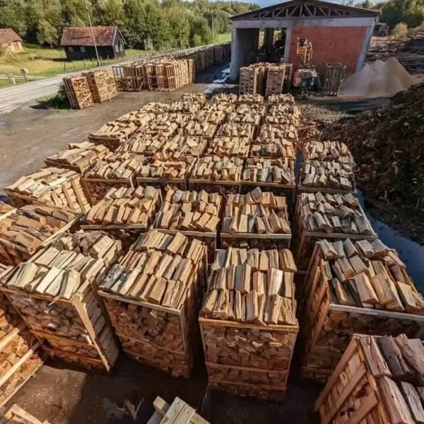 Orchard Apple Firewood